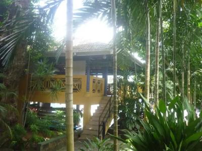 Laluna Ayurveda Resort - 18