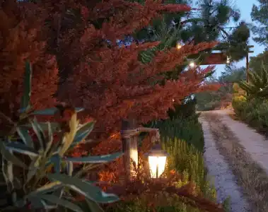 Datca Masal Gibi Plaj&Restaurant - 6