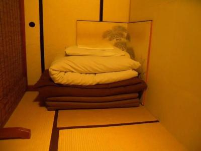 Guest House Kingyoya - 22