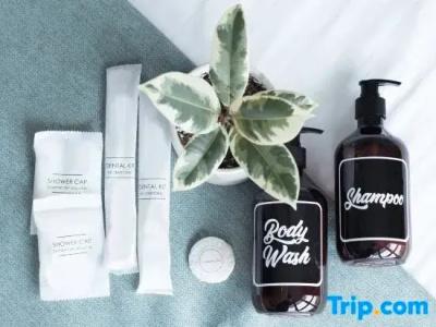 Nuve Elements (Sg Clean, Staycation Approved) - 25
