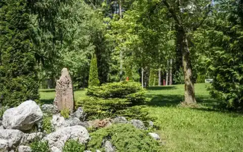 Waldsee - 48