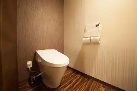 Richmond Premier Tokyo Oshiage - 11