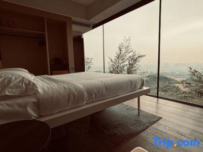 Tigerlily - 61