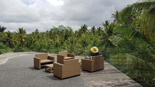 Puri Sebali Resort - 23
