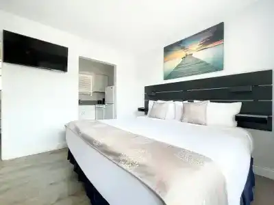 The Palms - 10