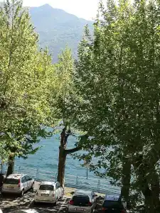 Belvedere - 15