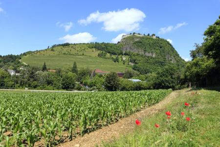 Best Western Lamm - 25