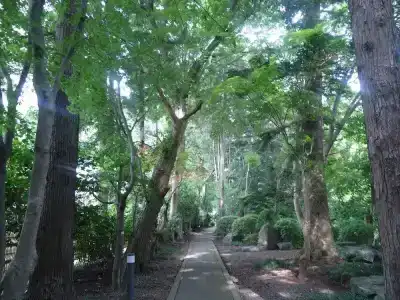 Hachinohe Park - 11
