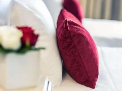 Mercure Plaza Biarritz Centre - 163