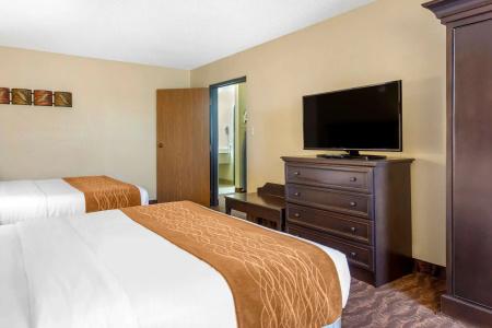 Comfort Inn at Thousand Hills - 73