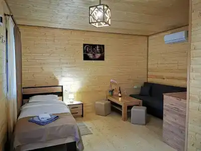Замок Ioseb Vanishvili - 31