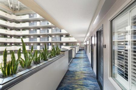 Embassy Suites Orlando - Airport - 27
