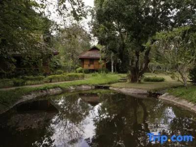 Baan Krating - Sha Plus - 93