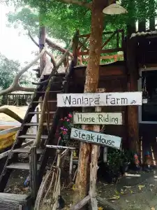 Wanlapa Farmstay - 49