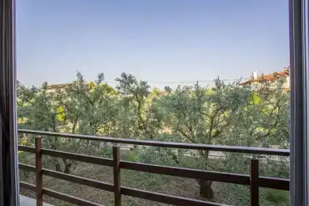 Zeytin Bahcesi - 23