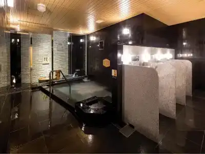 Apa Shinjuku Gyoemmae - 17