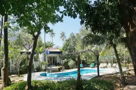 Kalamona - 183