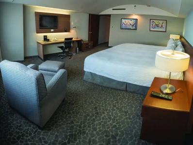 Courtyard by Marriott Mexico City Revolucion - 81