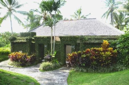 Villa Semana & Spa - 47