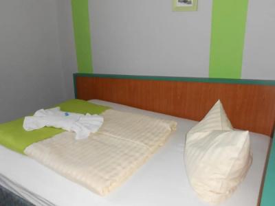 GreenLine FerienForelle - 10
