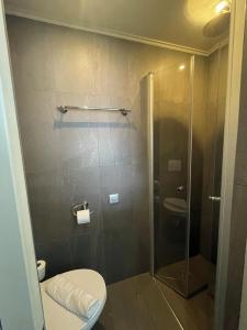 Hôtel Villa-Lamartine - 33