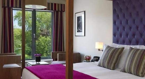 The Fitzwilliam - 52