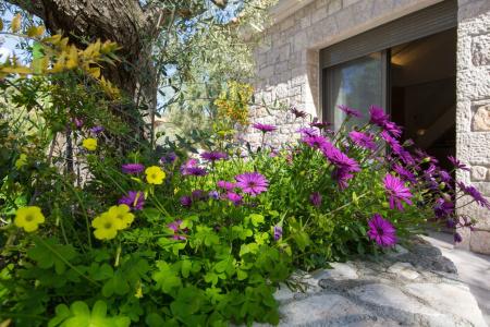Anthemion Suites and Villas - 178