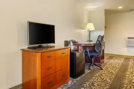 Rodeway Inn Denver Downtown - 3