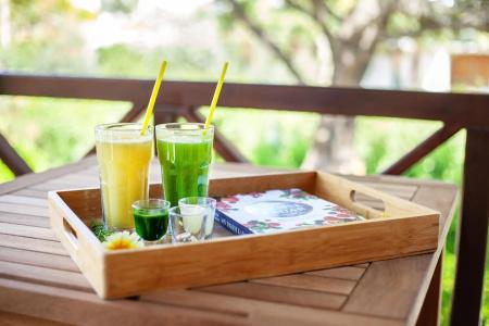 The Lifeco Bodrum Well-Being Detox Center And Vegan - 40
