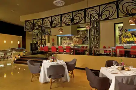 Breathless Punta Cana Resort & Spa - Adults Only - 31