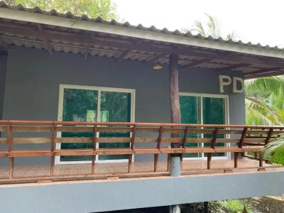 PD - 38