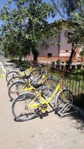 Trasimeno - 27
