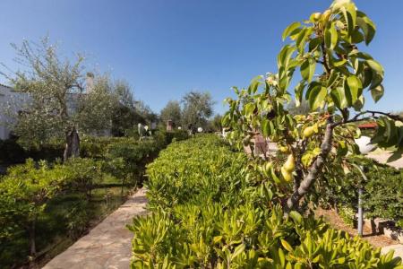 Residence Villantica - 309