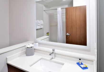 Holiday Inn Express Orlando - South Park, An Ihg - 54