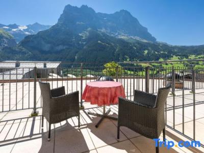 Spinne Grindelwald - 55