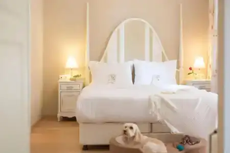Gatto Perso Luxury Studio - 76