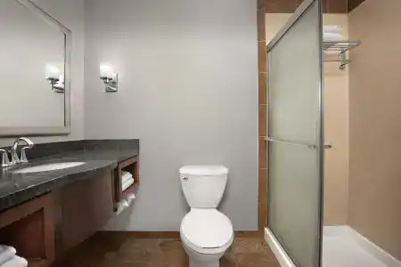 Holiday Inn & Suites Downtown, an IHG - 7