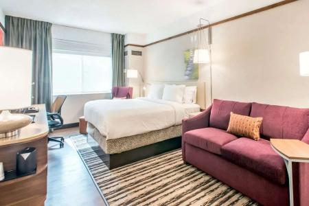 Hilton Garden Inn Minneapolis Airport Mall of America - 5