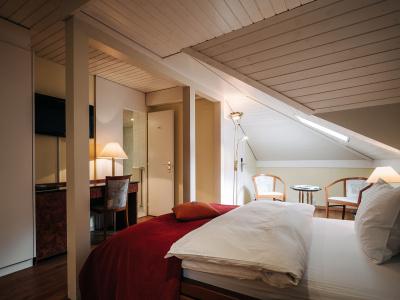 Krone Thun - 8