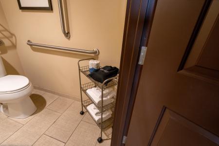 Holiday Inn Murfreesboro/Nashville, An Ihg - 39