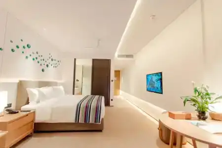 Sanya Conifer Resort - 81