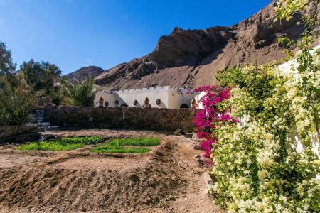 The Bedouin Moon - 26