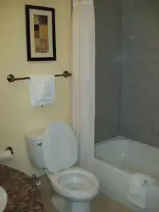 Magnolia Inn and Suites Pooler - 11