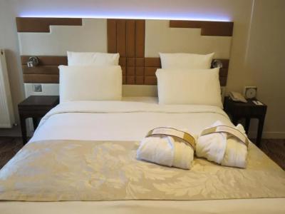 Mercure Paris Opéra Faubourg Montmartre - 62