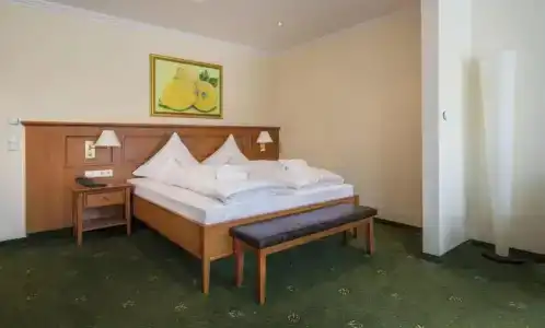 Schweizer Hof Thermal und Vital Resort - 42