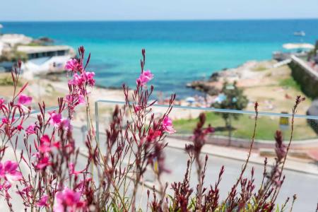 Bellariva Monopoli B&B e Relax - 14