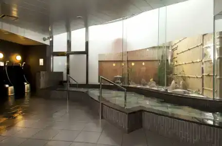 Niigata Daiichi - 13
