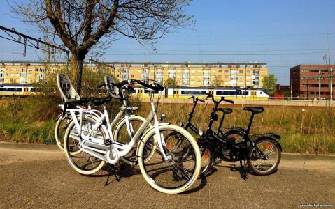Best Western Zaan Inn - 14