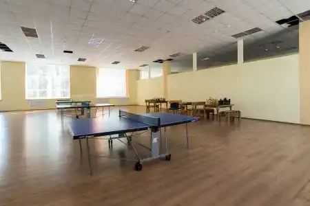 Шинник - 22