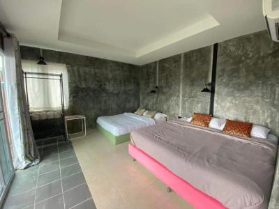 Khao Kho Tree Top - 47